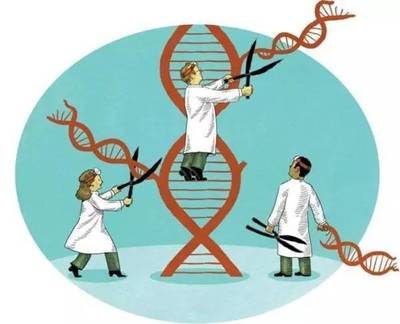 性命所托，生死不负 医疗投资的坚守与理解