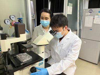 让青春在全面建设社会主义现代化国家的火热实践中绽放绚丽之花——党的二十大报告在全国高校青年师生中引发强烈反响，聚焦医学研究与试验发展