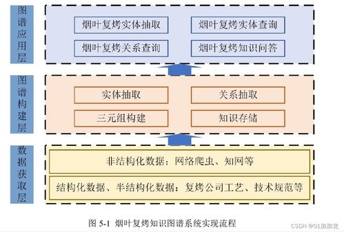 知识图谱在医学研究与试验发展中的创新应用与未来展望