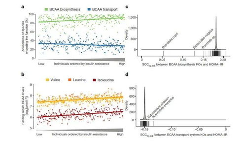 代谢组学在医学领域机制研究的实验设计方案